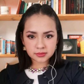 Mentor Perfil Alicia Valda imagen de 