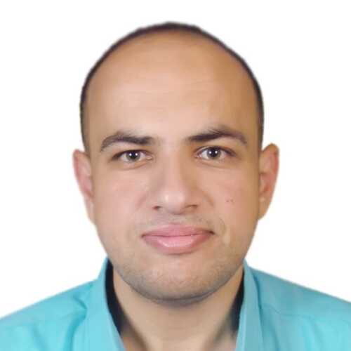 Waleed Shams