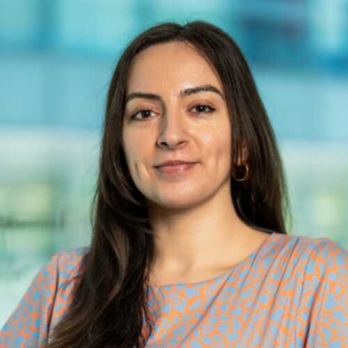 Mira Nouaihed